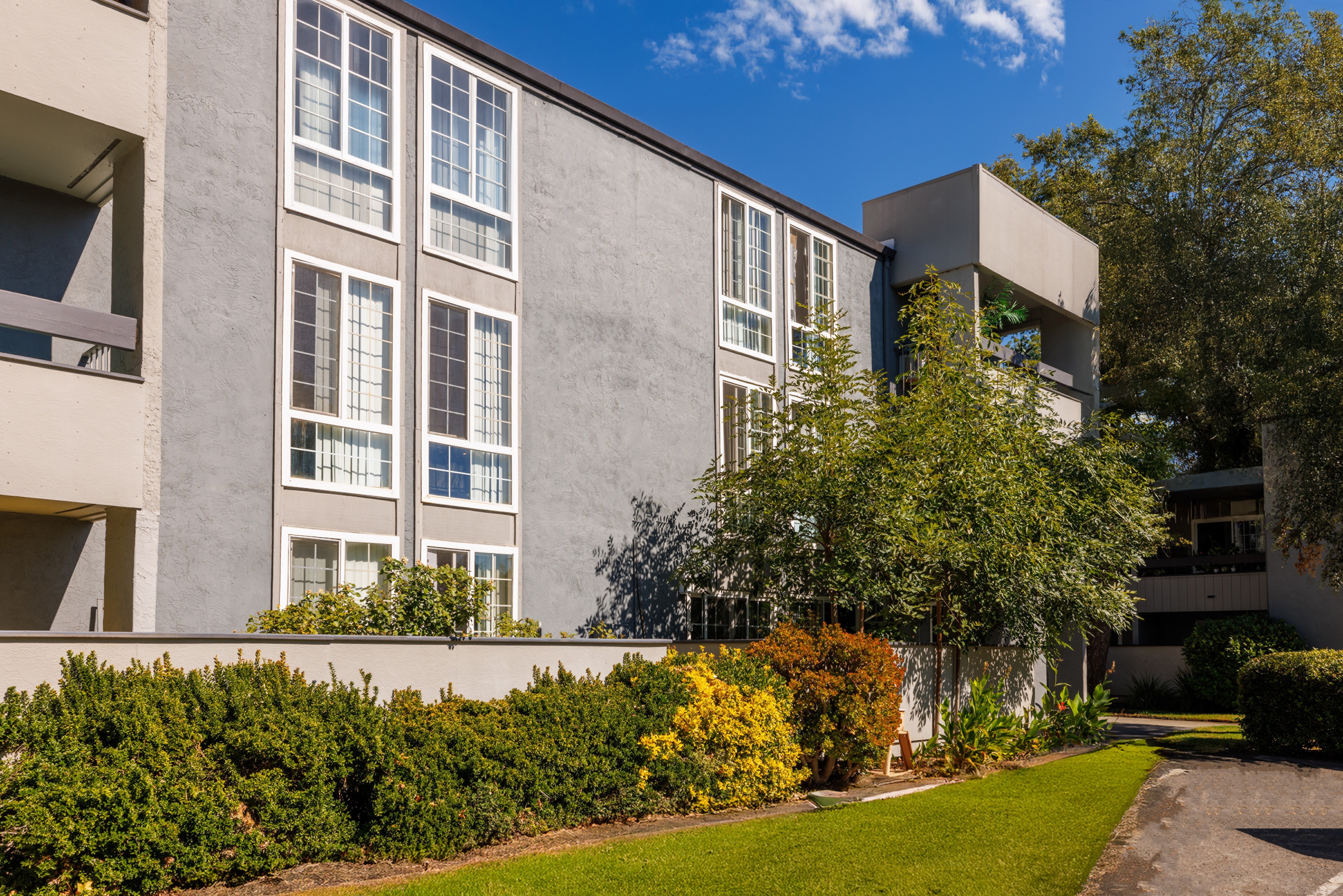 Laguna Ellis Apartments photo 3